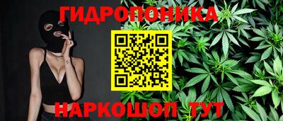 прущие грибы Татарск